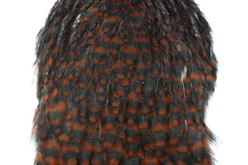 American Hen Cape Grizzly dyed Coachman Brown view 1
