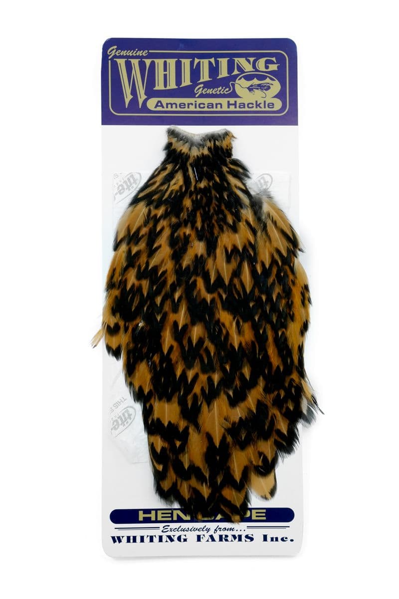 American Hen Cape Black laced Brown view 3
