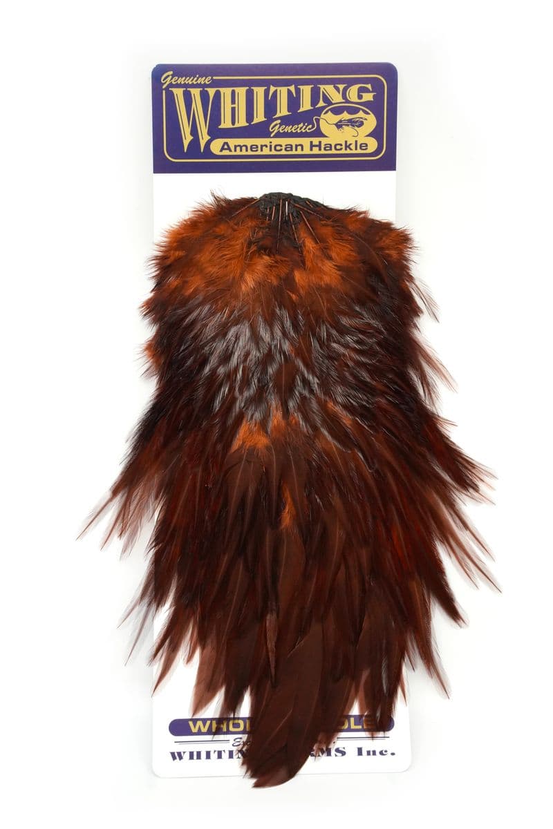 American Rooster Saddle White dyed Coachman Brown view 3