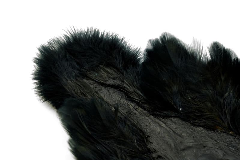 Brahma Hen SH/C Black view 1