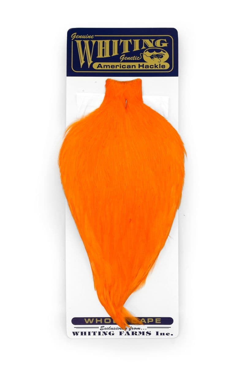 American Rooster Cape White dyed Shrimp Orange view 3