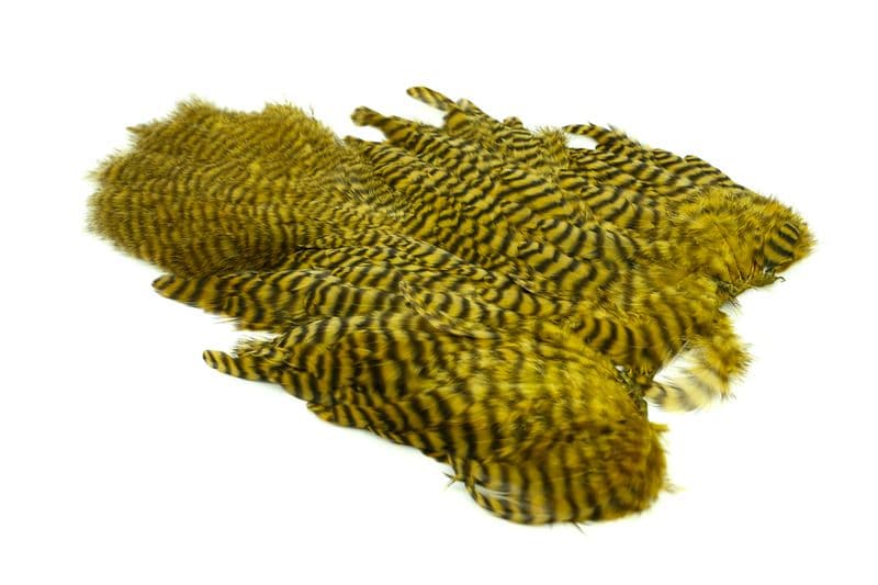 Whiting Rooster SH/C Grizzly dyed Golden Olive view 2