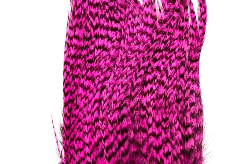 Whiting Bugger Pack Grizzly dyed Pink view 1