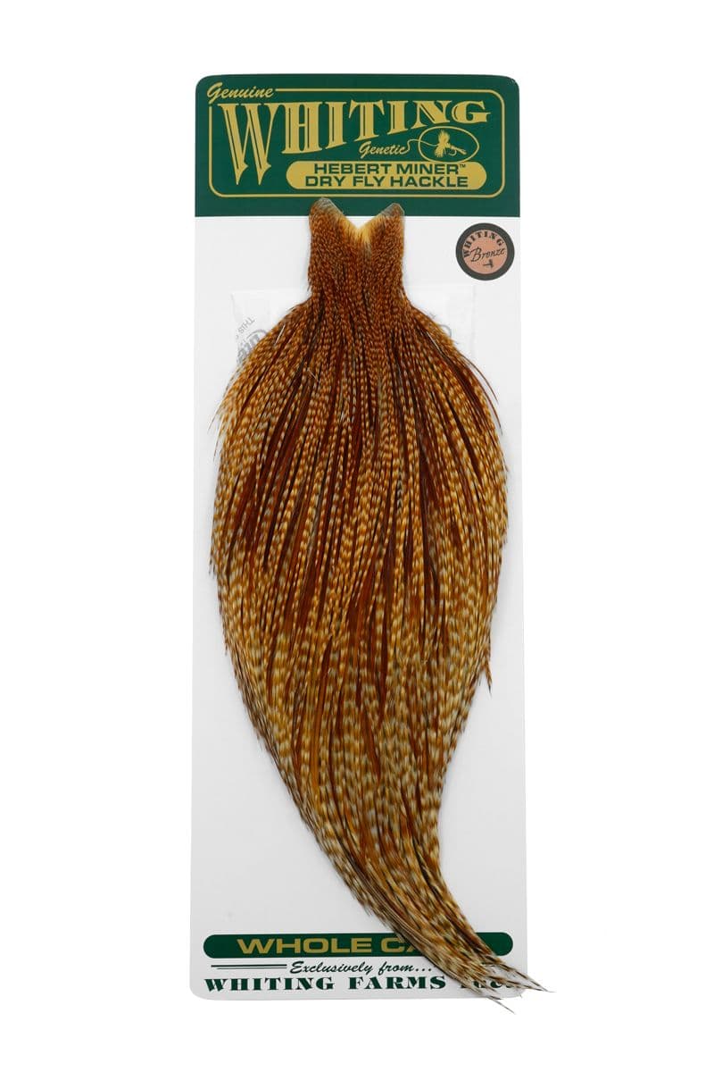 Hebert Bronze Cape Barred Dark Ginger view 3