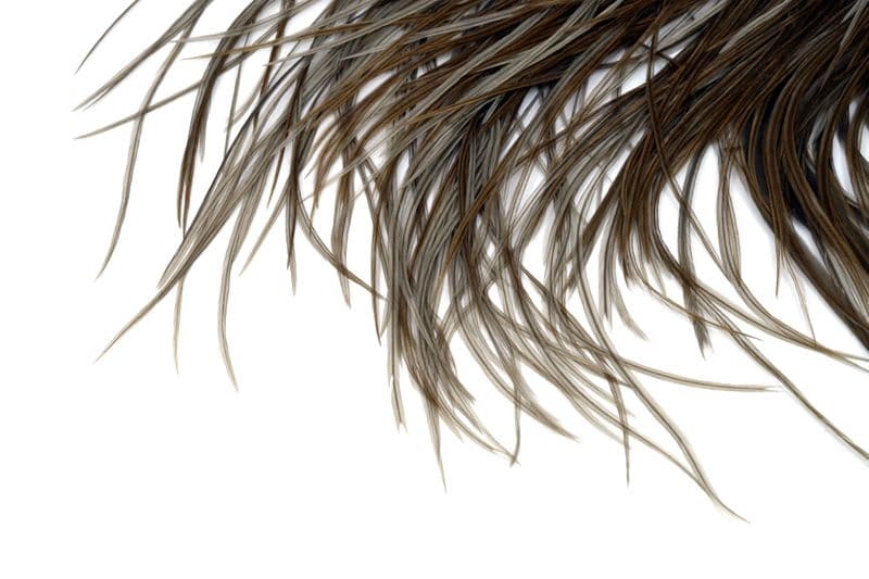 Hebert Bronze Saddle Brown/Gray Dun view 4
