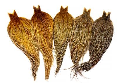 Heritage Hackle Cape Barred Ginger Variant