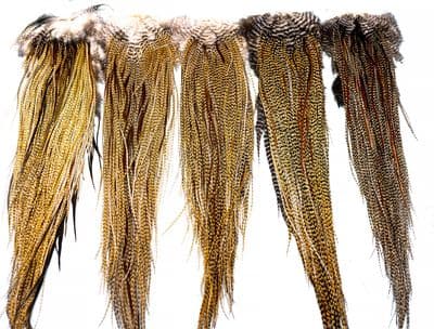 Heritage Hackle Saddle Barred Ginger Variant