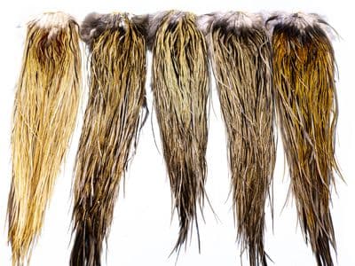Heritage Hackle Saddle Badger Variant