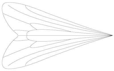 Caddis Wings