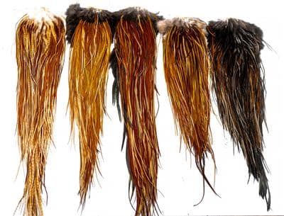 Heritage Hackle Saddle Brown Variant