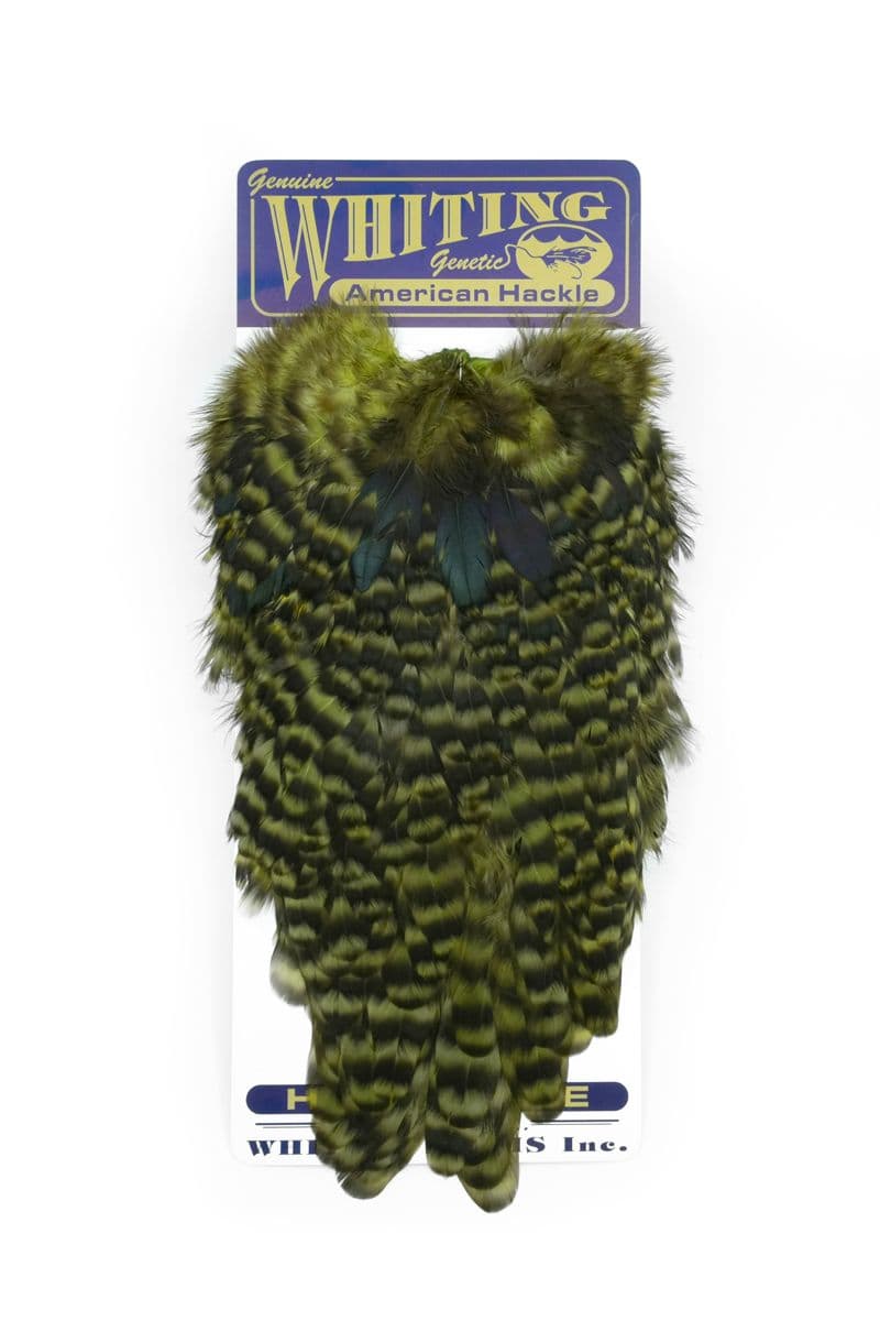 American Hen Saddle Grizzly dyed Olive view 3