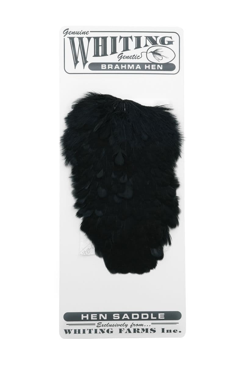 Brahma Hen Saddle Black view 3