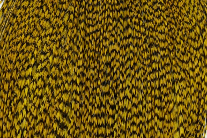 Whiting Bronze Cape Grizzly dyed Golden Olive view 1