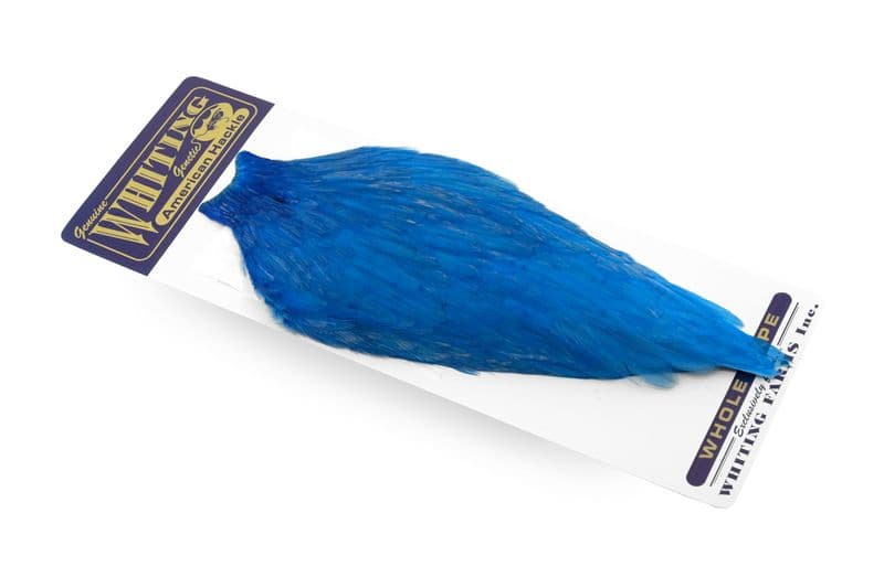 American Rooster Cape White dyed Kingfisher Blue view 1