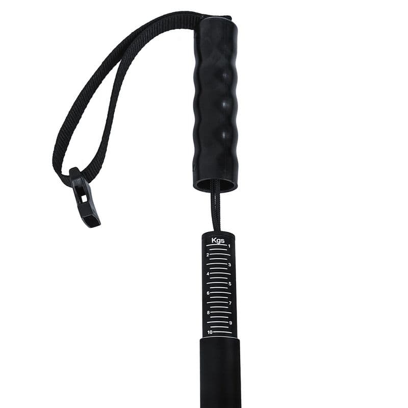 Measure & Weigh XL (Model R703) view 4