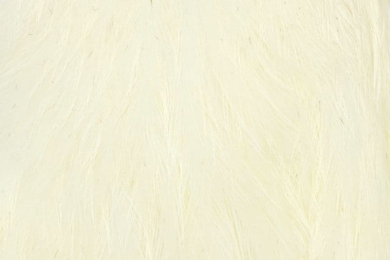 Coq de Leon Hen Cape Pure White view 1