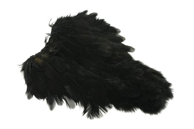 Coq De Leon Hen SH/C Black view 4
