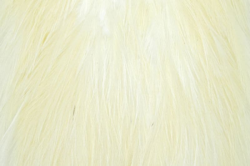 Coq de Leon Bronze Saddle White view 1