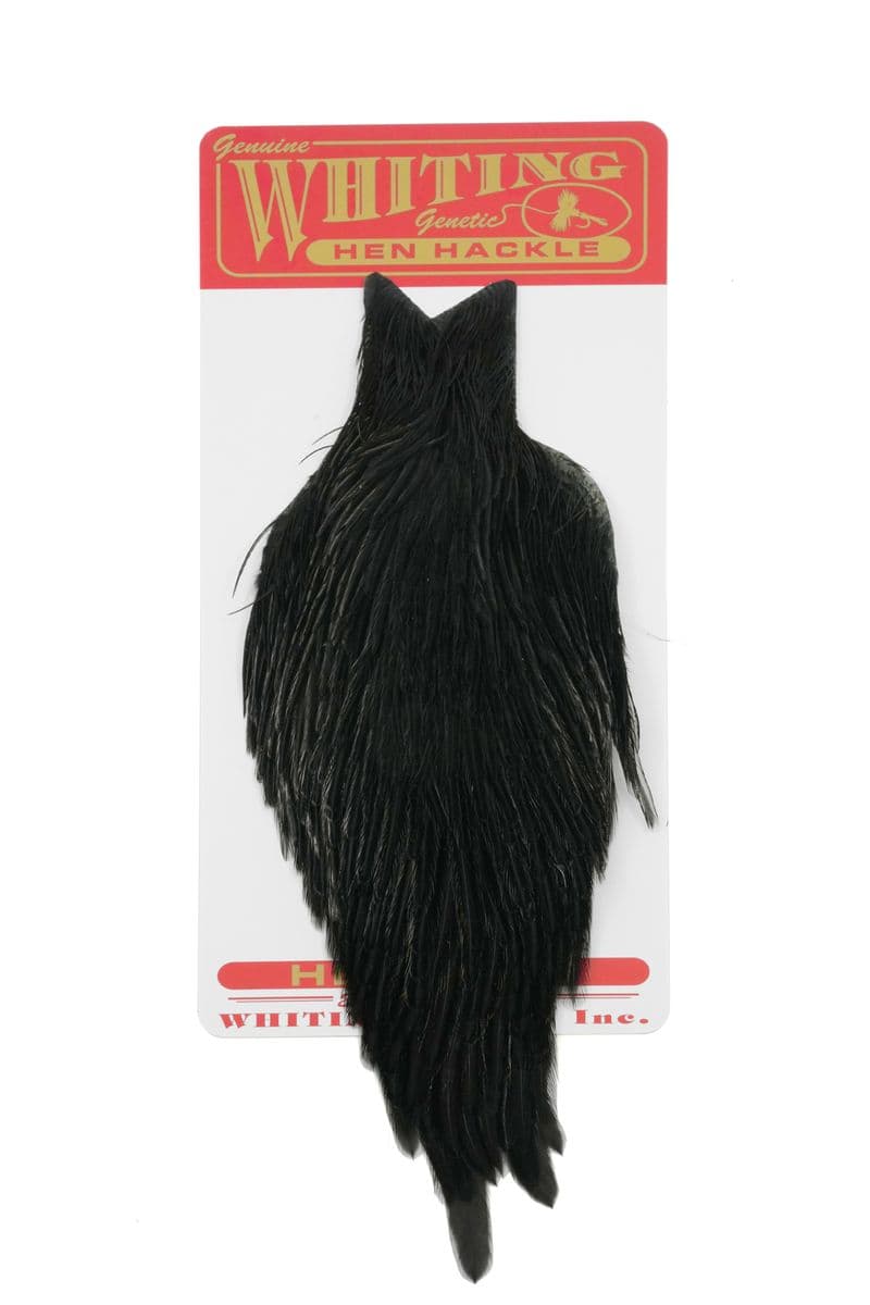 Whiting Hen Cape Black view 2