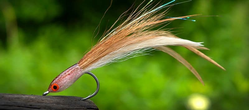 SA280 Minnow # view 1