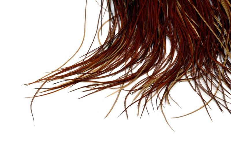 Whiting Bronze Saddle Brown view 4