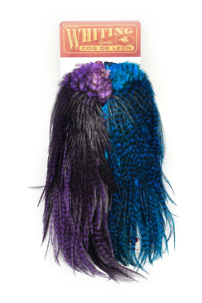 CDL Predator Pack. Grizzly Pardo Purple & Kingfisher Blue view 2