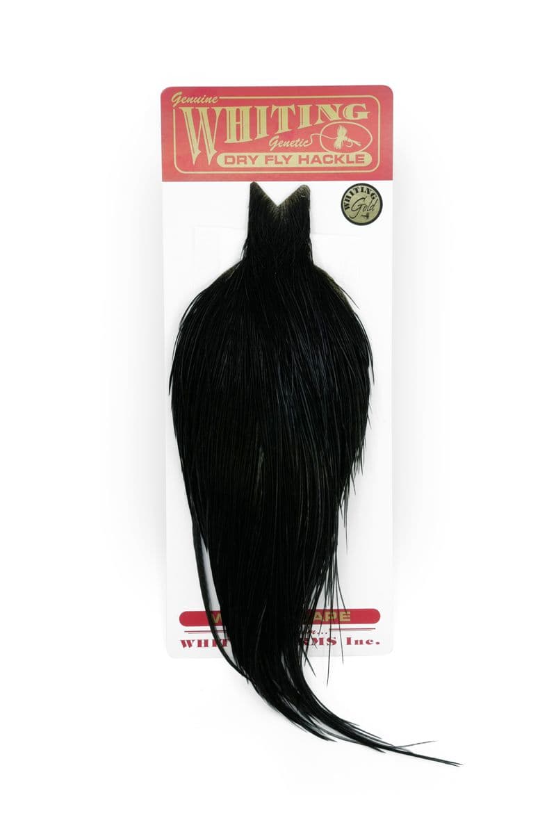 Whiting Gold Cape Black view 3