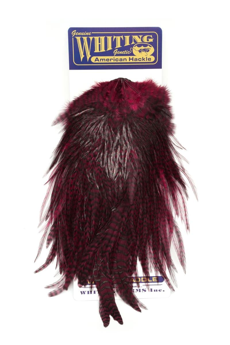 American Rooster Saddle Grizzly dyed Claret view 3