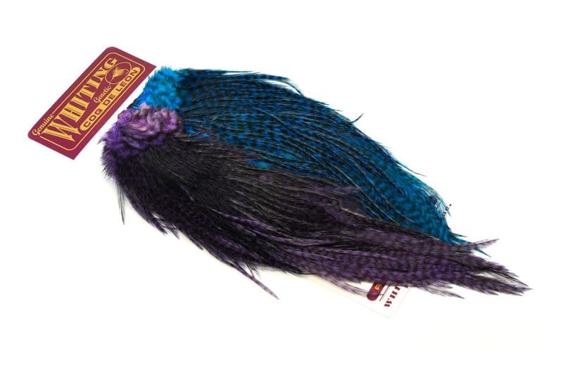 CDL Predator Pack. Grizzly Pardo Purple & Kingfisher Blue view 1