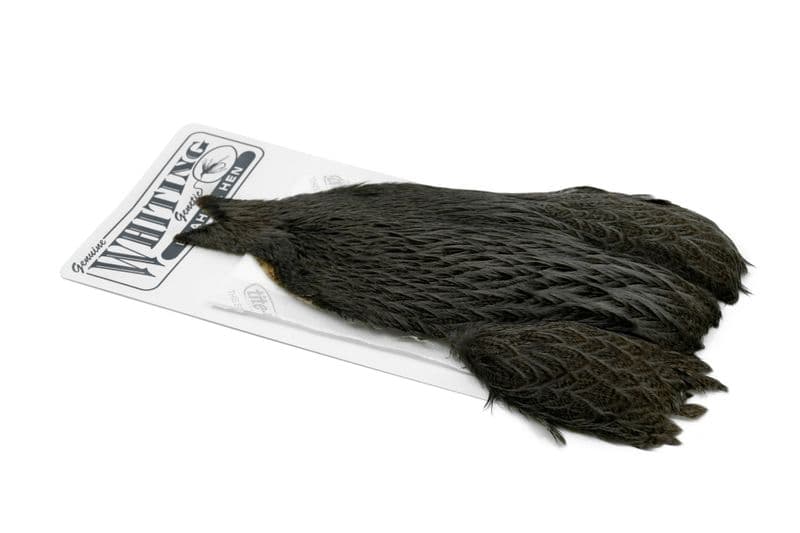 Brahma Hen Cape Badger dyed Dark Dun view 2