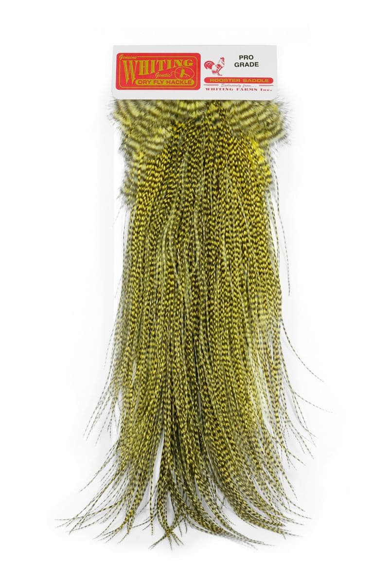 Whiting Pro Grade Midge Saddle Grizzly dyed Pale Yellow view 3