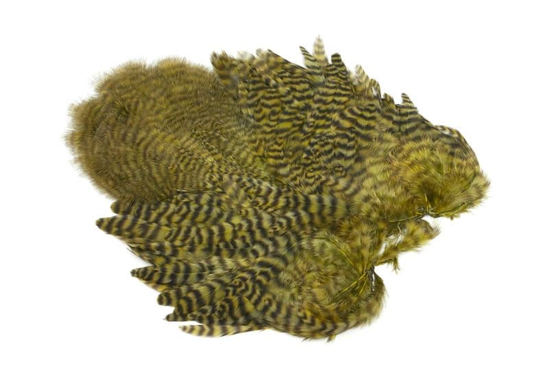 Whiting Rooster SH/C Grizzly dyed Olive view 1