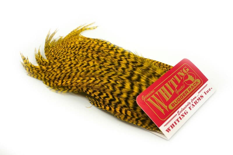 Whiting Bugger Pack Grizzly dyed Yellow view 2