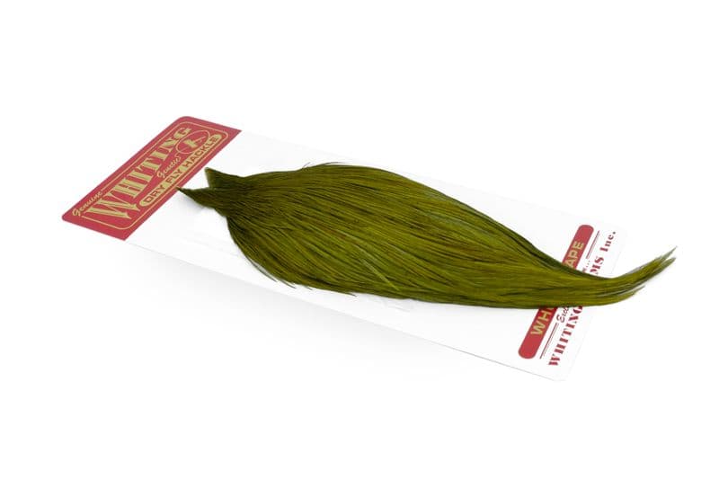 Whiting Commercial Cape White dyed Dark Olive view 2