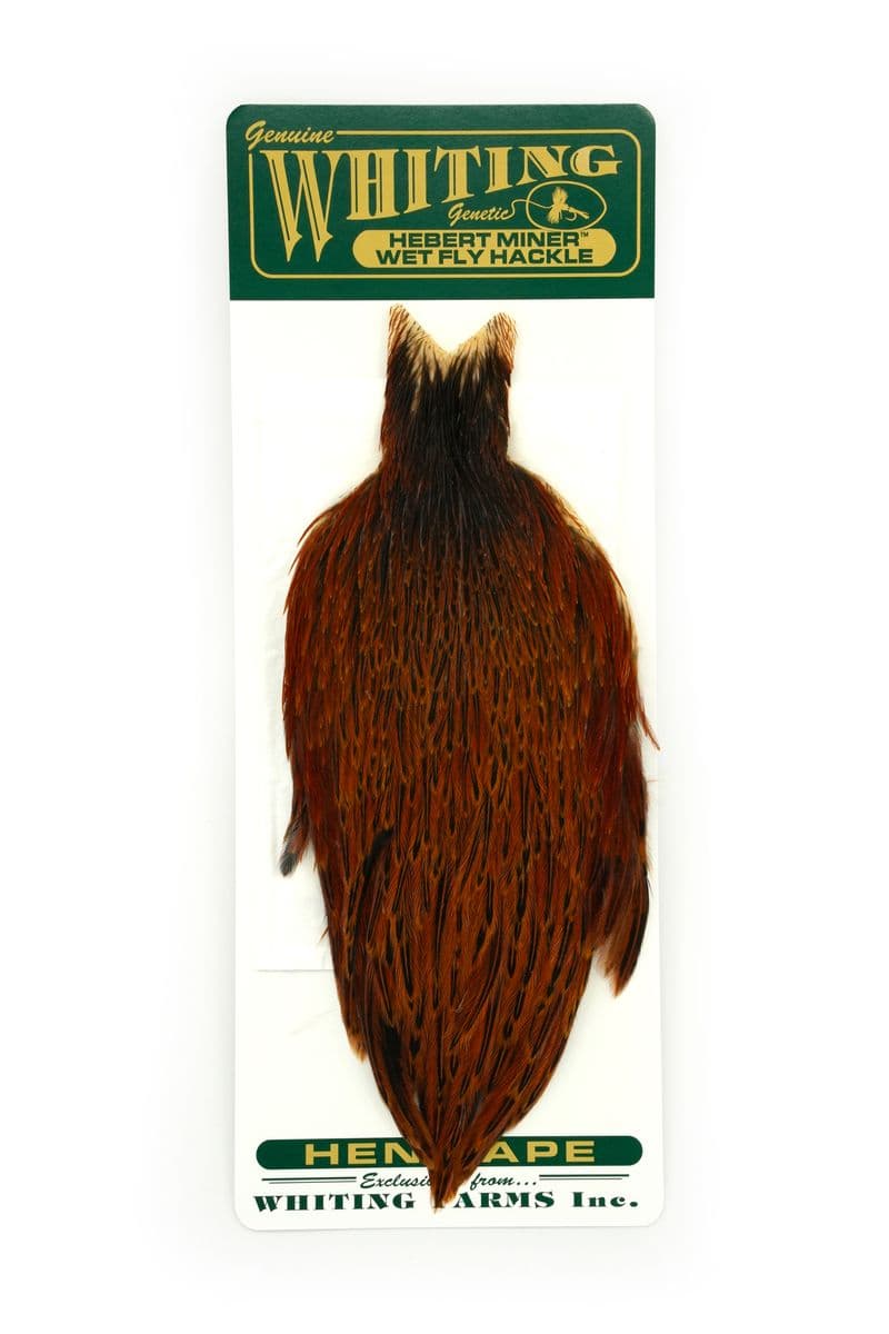 Hebert Hen Cape Brown view 3