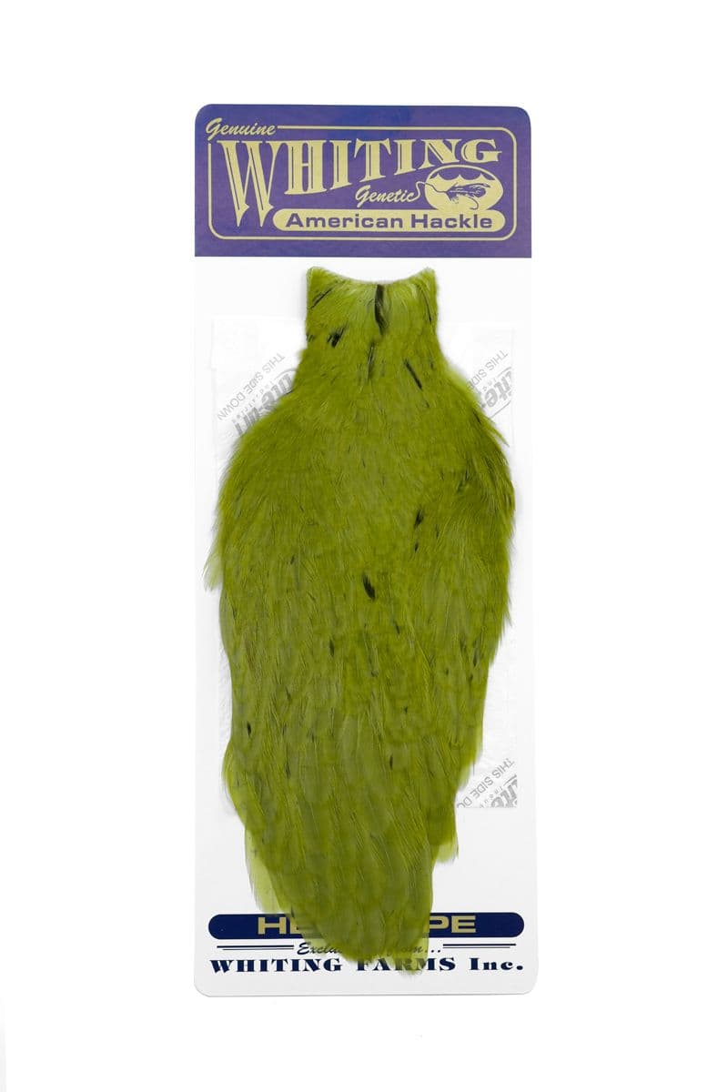 American Hen Cape White dyed Olive view 3