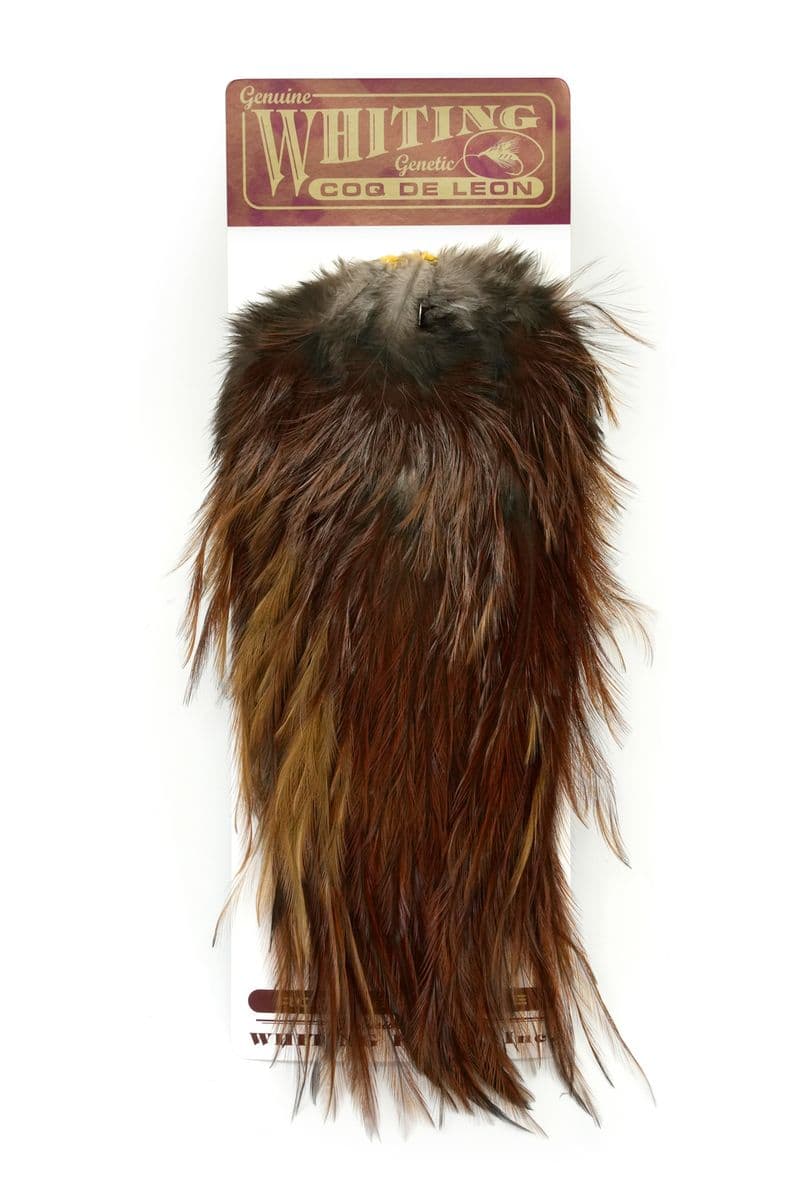 Coq de Leon Silver Saddle Brown view 3
