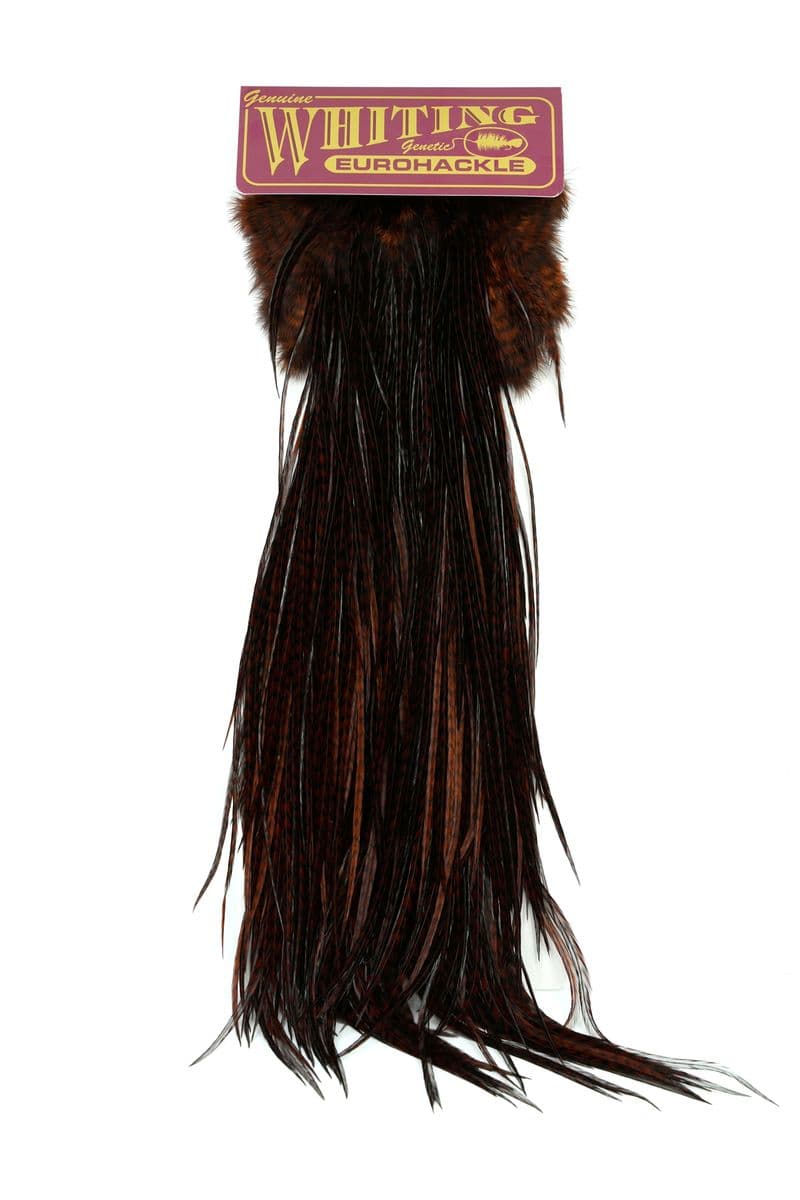 Eurohackle Saddle Grizzly dyed Coachman Brown view 3