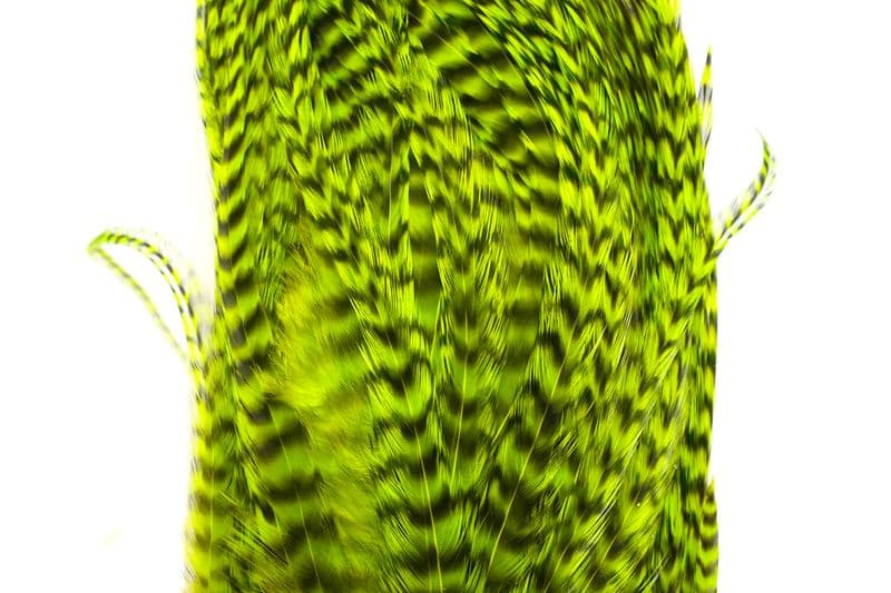 Whiting Bugger Pack Grizzly dyed Fl. Green Chartreuse view 1