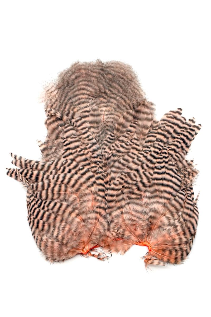 Whiting Rooster SH/C Grizzly dyed Salmon view 2