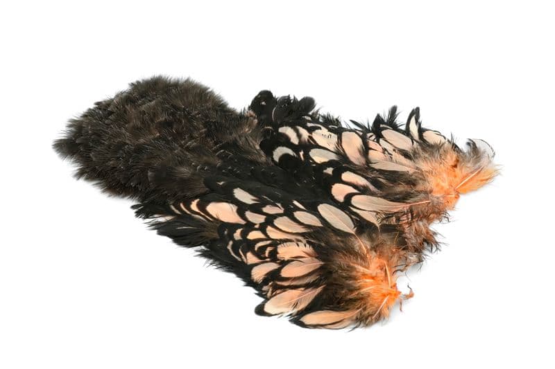 American Hen SH/C BLW dyed Salmon view 2