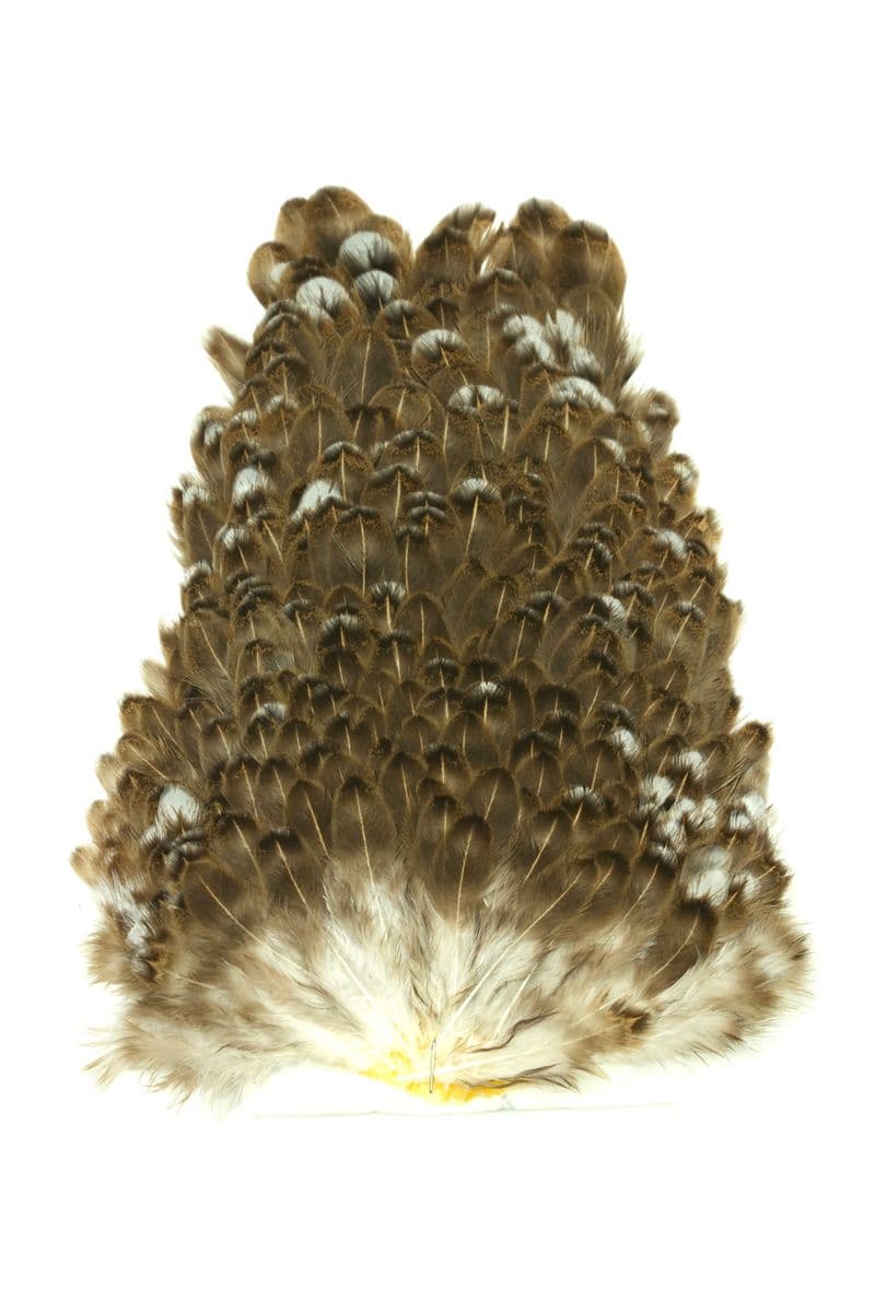 4 B's Hen Saddle Unique Variant view 2
