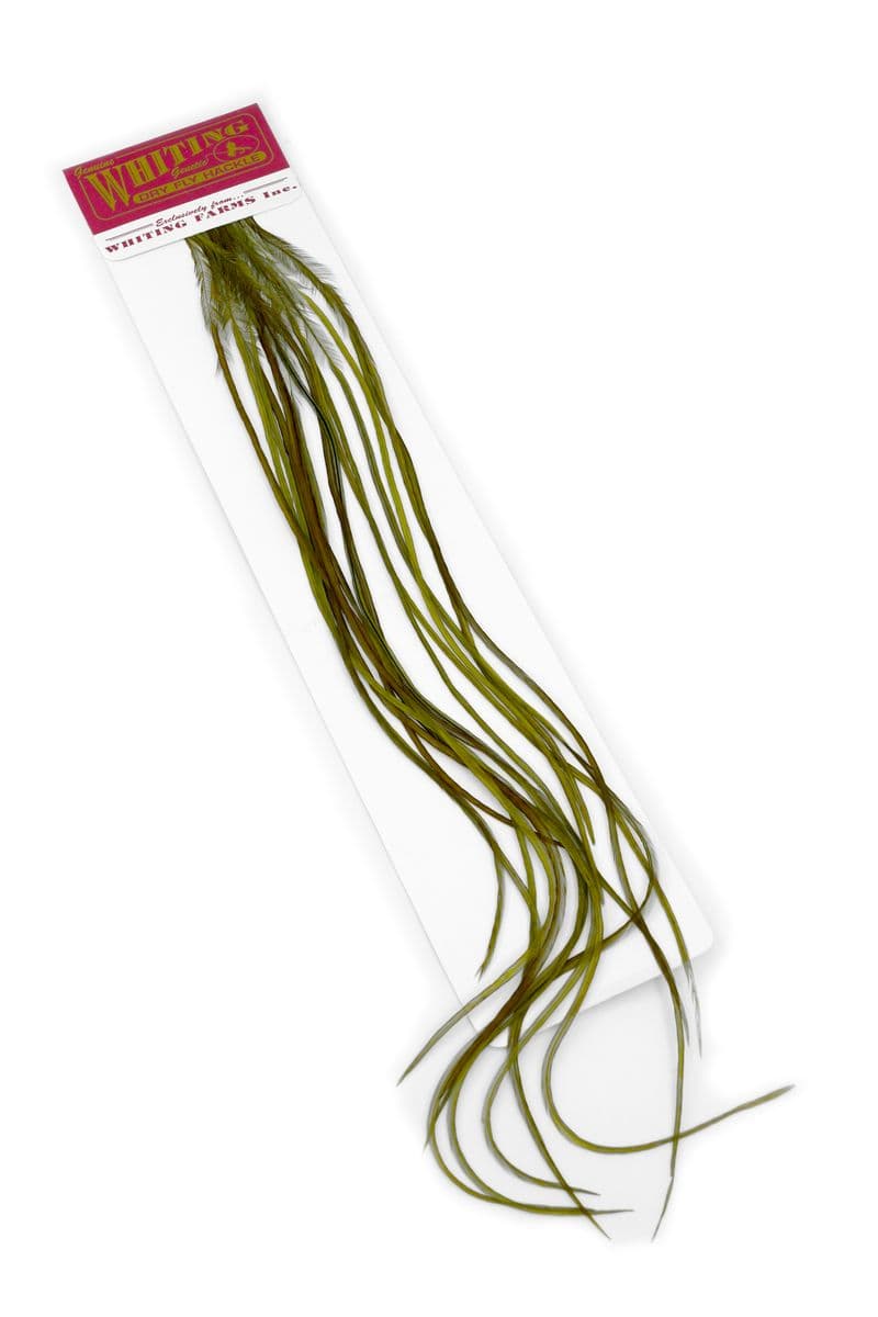 Whiting 100 Pk Size 16 White dyed Dark Olive view 1