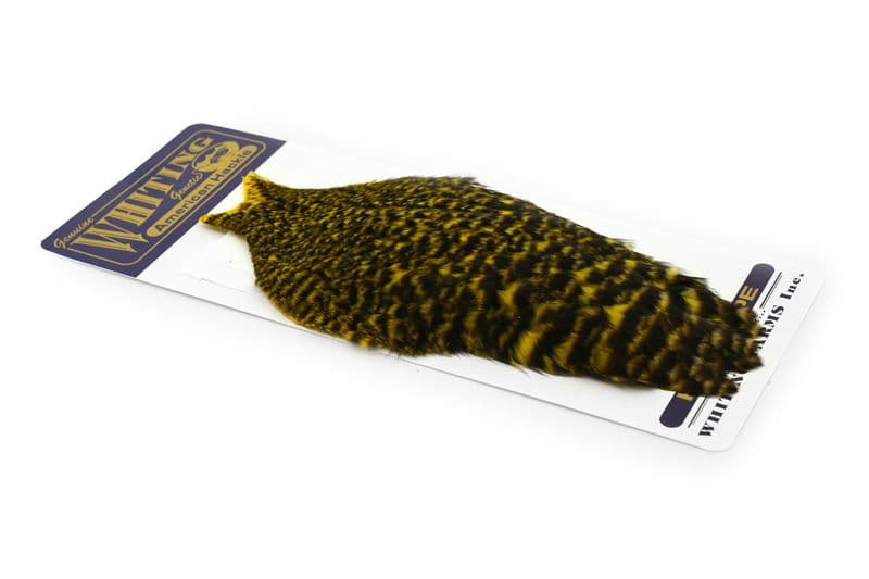 American Hen Cape Grizzly dyed Yellow view 2