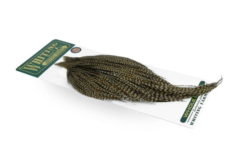 Hebert Bronze Cape Grizzly Variant view 2