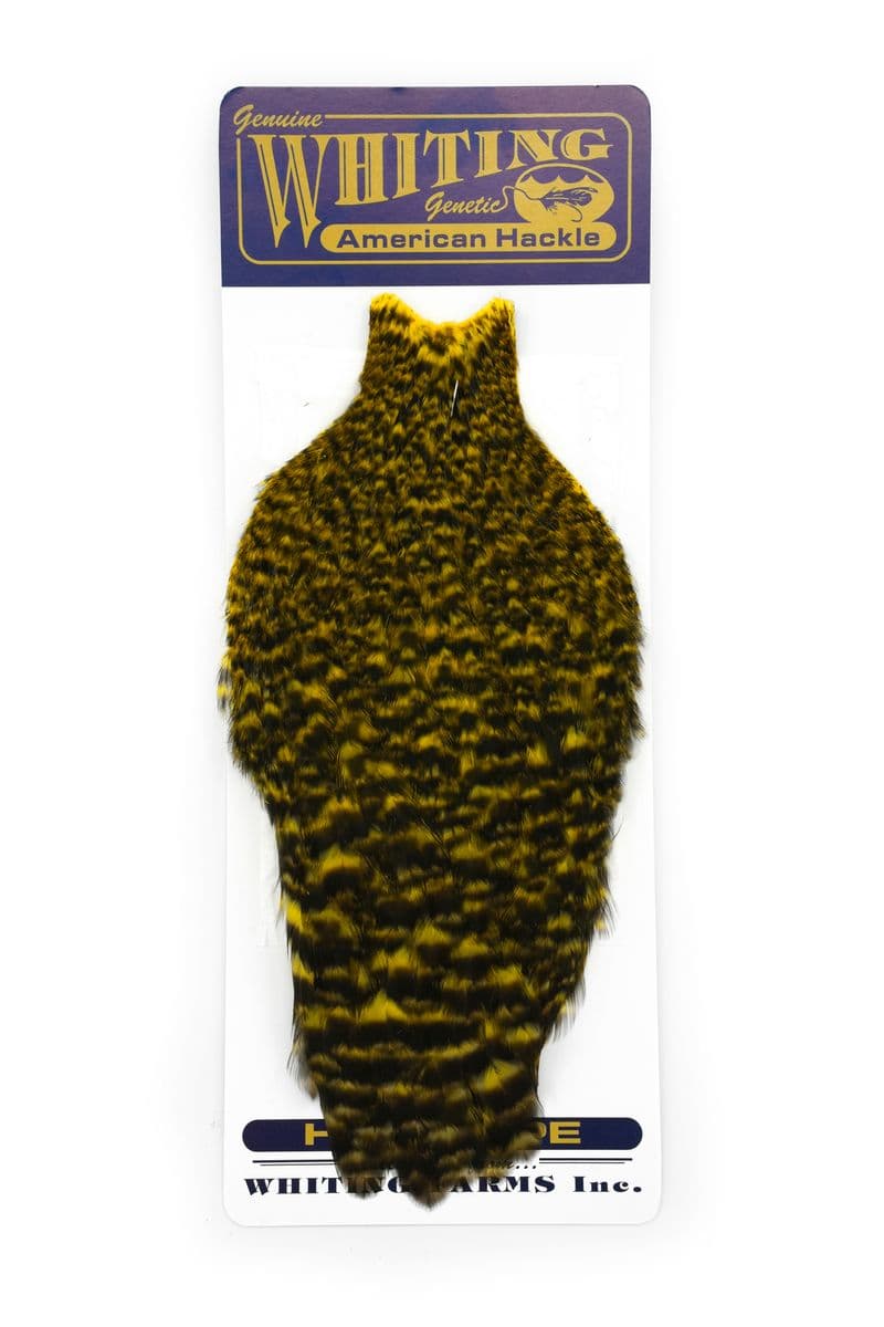 American Hen Cape Grizzly dyed Yellow view 3