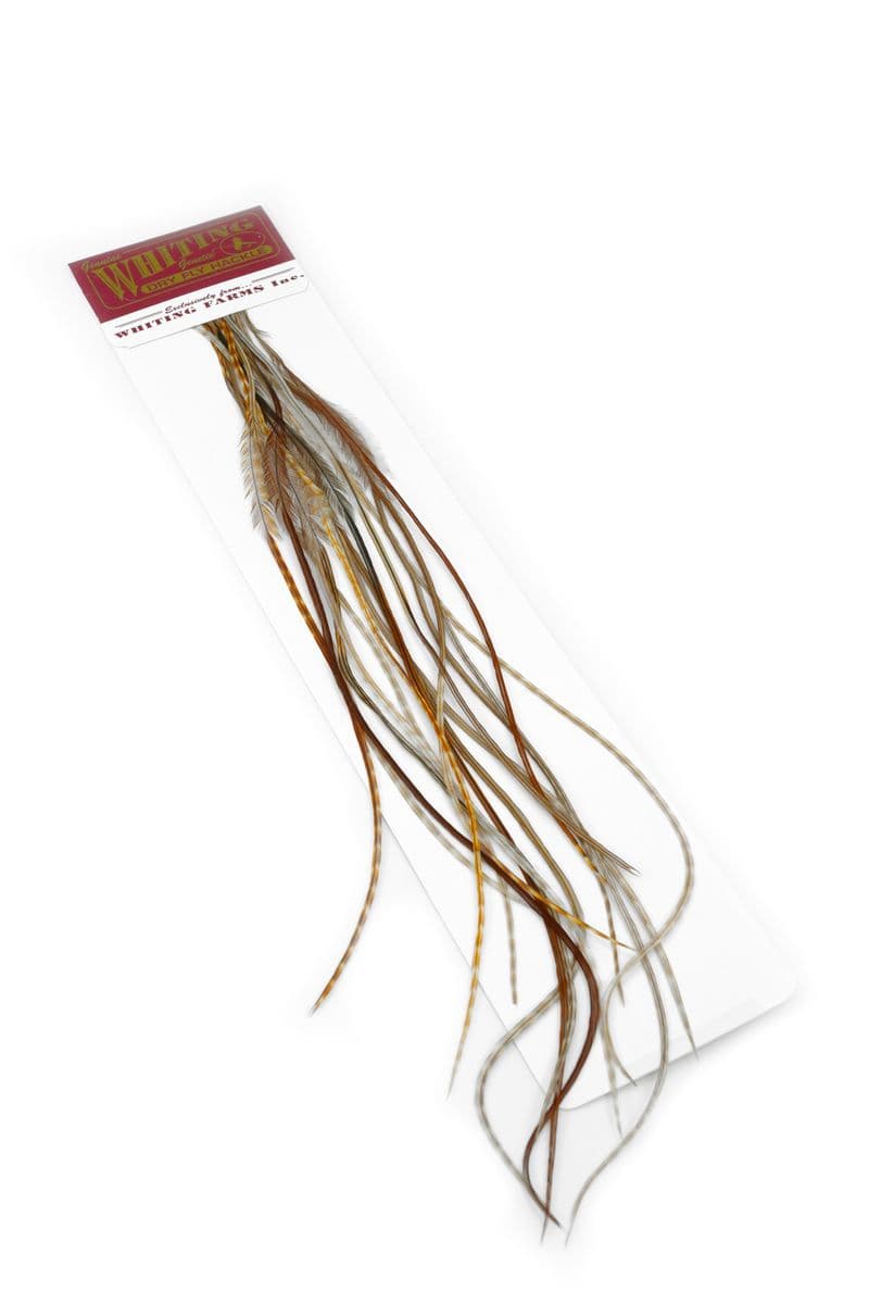 Whiting 100 Pk Size 18 Barred Dark Ginger view 1
