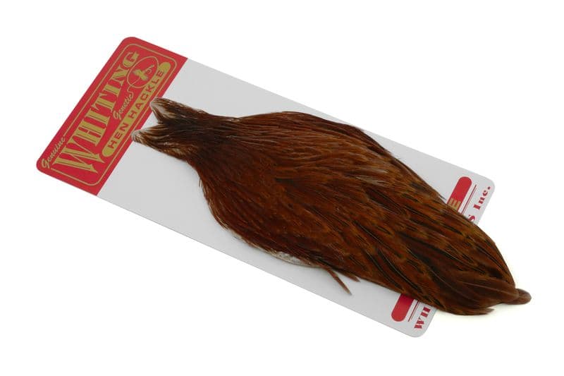 Whiting Hen Cape Brown view 1