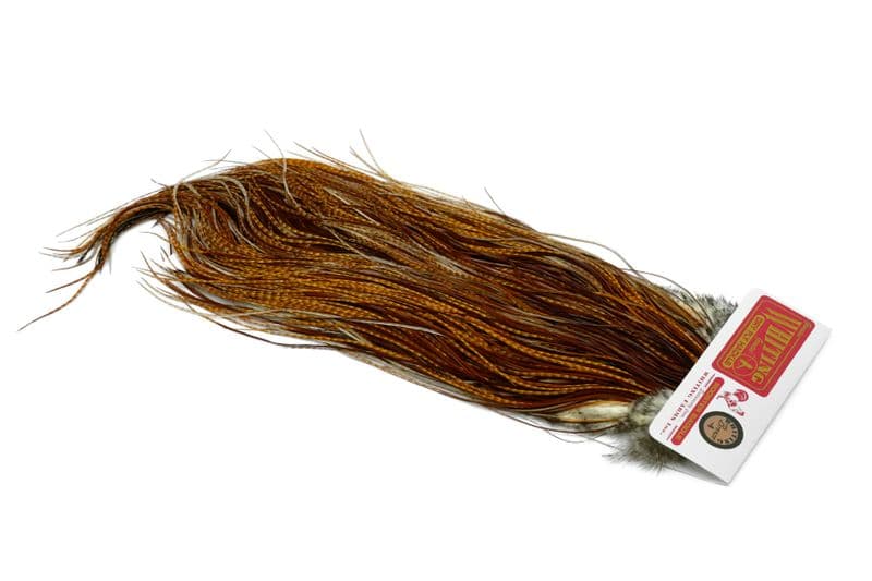 Whiting Bronze Saddle Barred Dark Ginger view 2