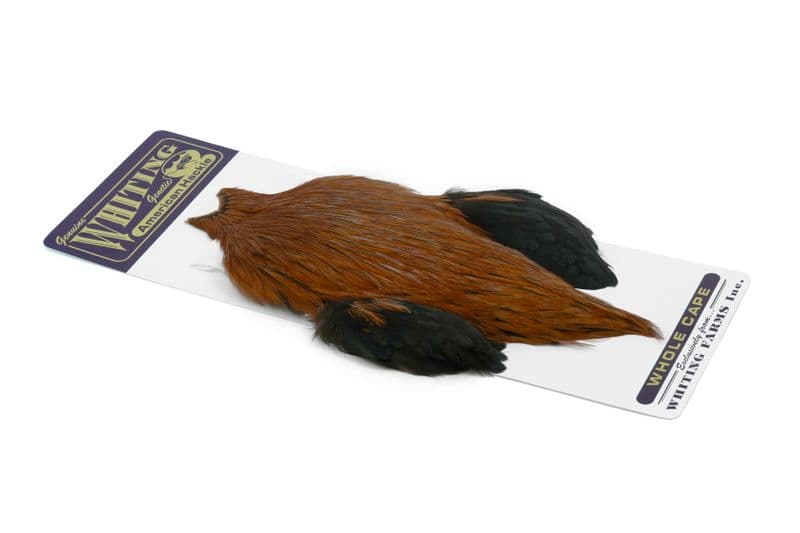 American Rooster Cape Badger dyed Brown view 2